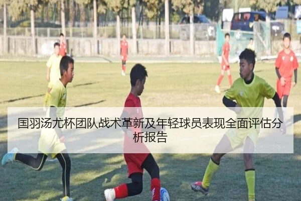 国羽汤尤杯团队战术革新及年轻球员表现全面评估分析报告